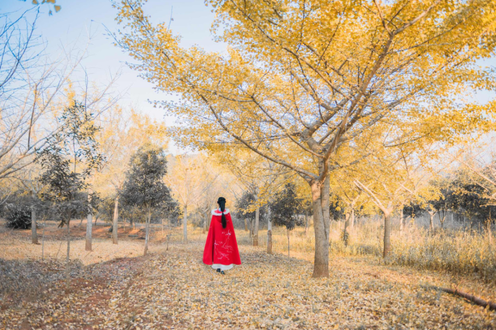 道士|争什么，气什么，愁什么？看完此文醒悟了