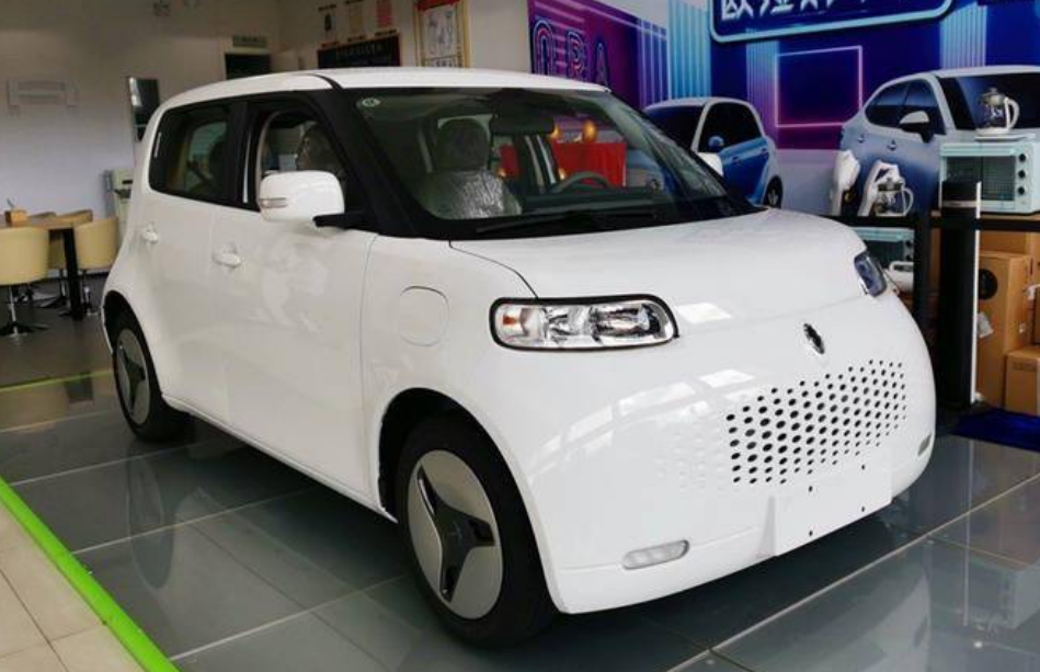 大狗和白猫之后长城又推黑猫颜值呆萌适合女司机