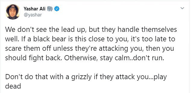 亚洲黑熊|墨西哥女子路遇黑熊，被摸肩嗅头发仍淡定自拍