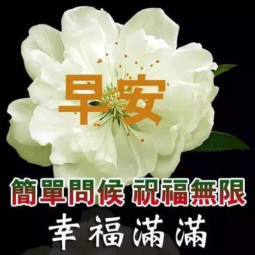 最新夏天早上好祝福朋友句子,早安問候表情圖片