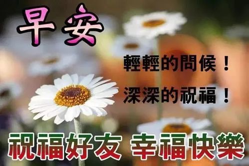 最新夏天早上好祝福朋友句子,早安問候表情圖片