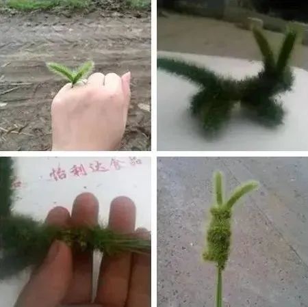 西游记|说到夏天，那必须是……