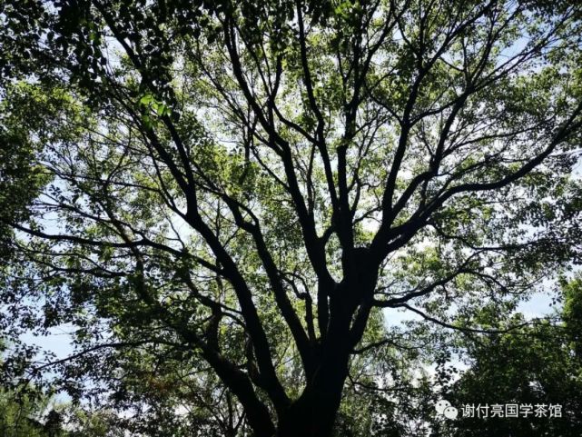 "人皆曰予知,驱而纳诸罟擭陷阱之中",记得多提醒自己,日常生活中,尤其