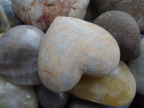 李晨|表面憨厚，背地插刀？刚恶心完柳岩，李晨又被骂上了热搜！