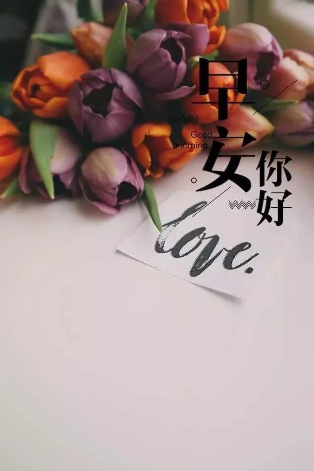 2021朋友圈最走心的早安心语,精致唯美_腾讯新闻