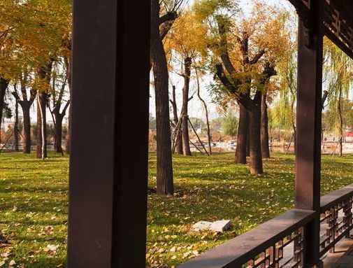 南方航空|南航湖南暑期加班，乘风破浪为你而来！