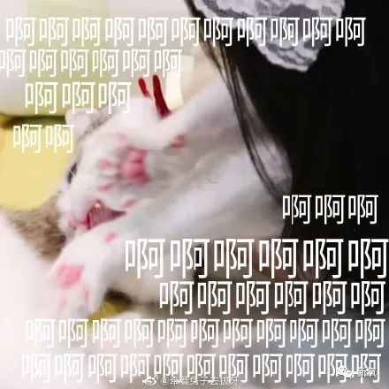 鞠婧祎|鞠婧祎美女人设又塌一个？被某明星暗戳戳揭露只有150当场黑脸……