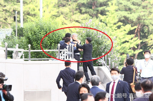 向文|向文在寅扔鞋男子：投掷目标并非总统 是红地毯 而且命中了