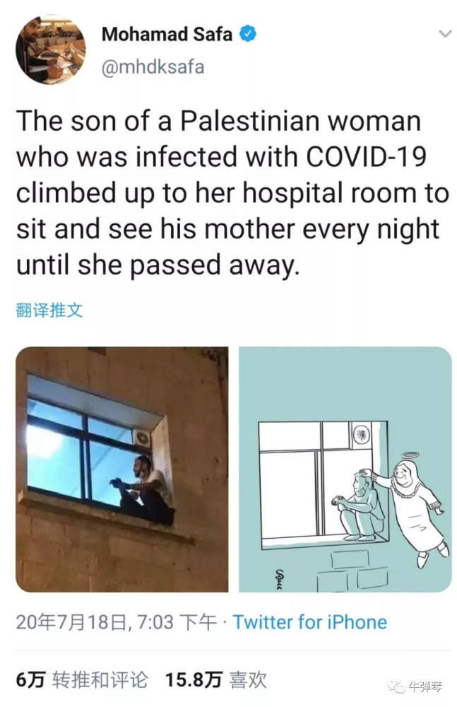 希伯伦|对不起，这是一条让人心碎的新闻！