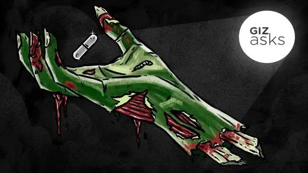 大脑|如果丧尸不想吃人脑，可以用什么食物代替？