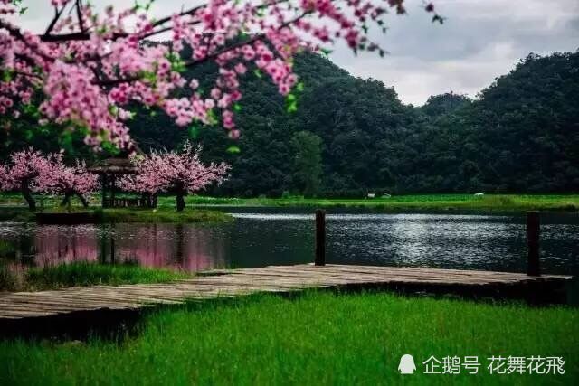 天涯|一念起天涯咫尺 一念灭咫尺天涯