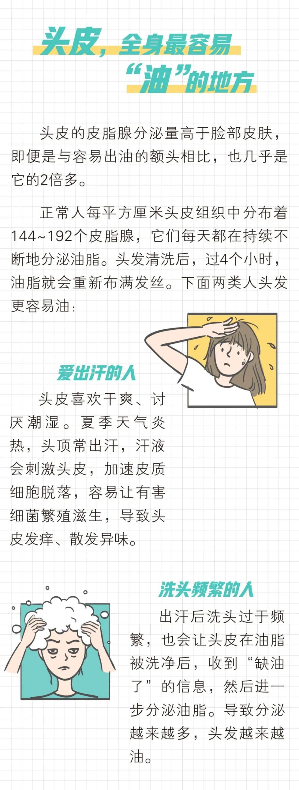 油头|一份“油头”拯救攻略：3步洗头法，皮肤科专家亲测有效