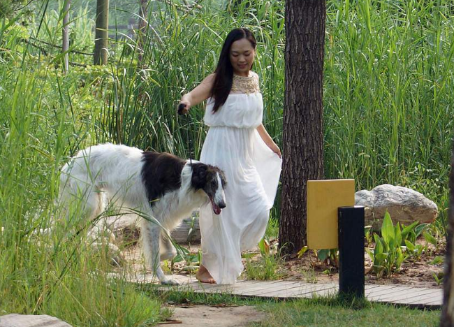 为啥养大狗的单身女生越来越多?知道真相后,小哥哥们无法淡定!