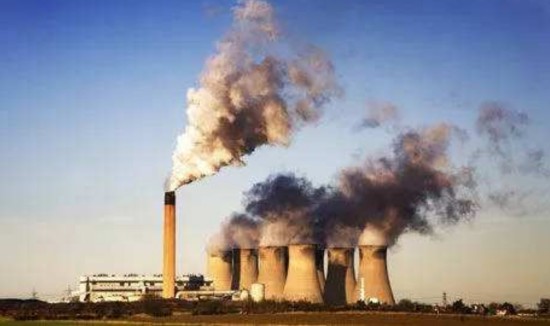 鱼类|40％的鱼类被迫灭绝，它们或无法繁殖，人类是幕后黑手