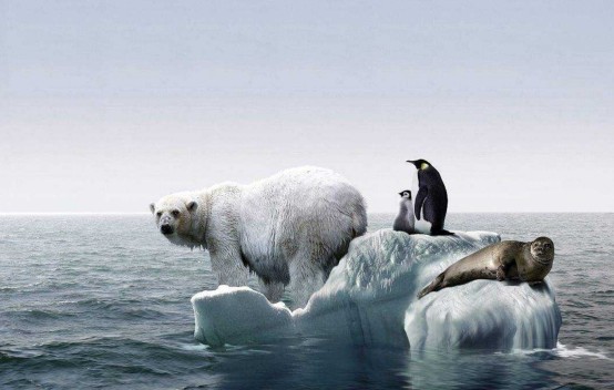 鱼类|40％的鱼类被迫灭绝，它们或无法繁殖，人类是幕后黑手