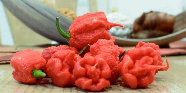 海参|被捧上天的海参，即便没有被敌敌畏“喂大”，医生也劝你少吃的好