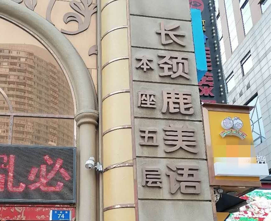 大连少儿英语排行榜_洛川:与淘宝天猫联手发力苹果产业升级-戒网瘾特训学校报名方式