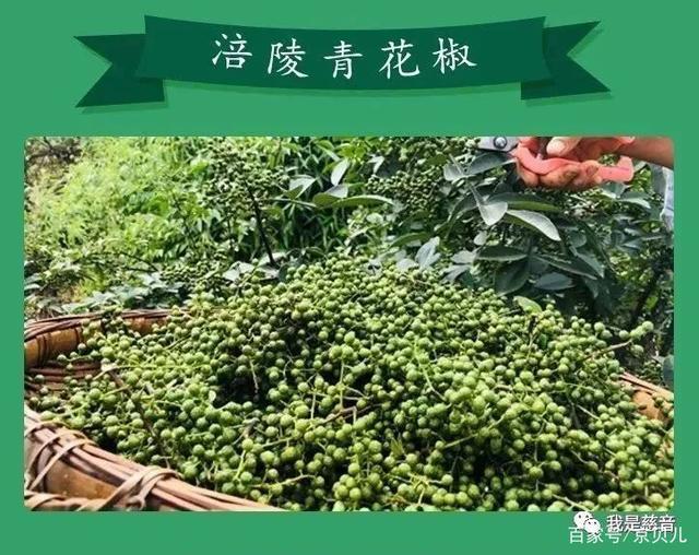 青花椒的正确打开方式 腾讯新闻