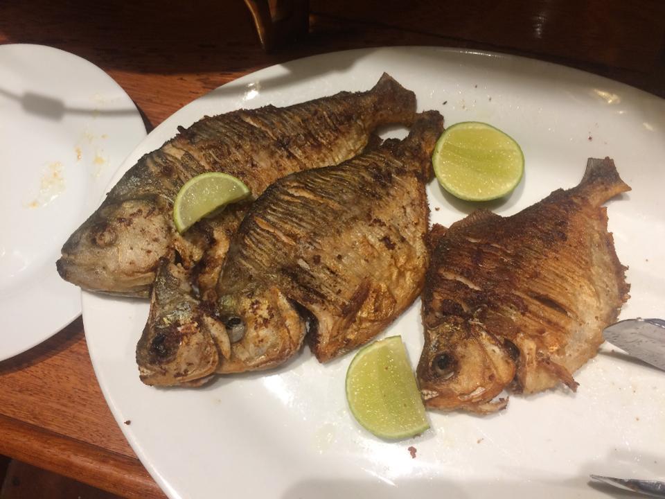 食人鱼|食人鱼真的食人吗？袭人事件不多，被人类煮汤当烤鱼吃比较常见