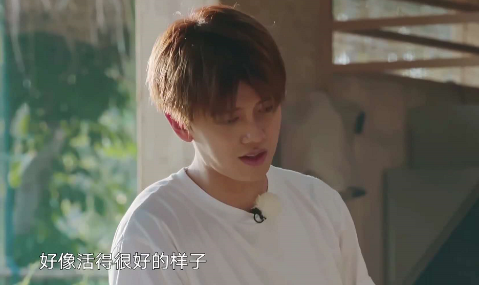 极限6|《极限6》收视突破2.5，质量却一言难尽，不照顾飞行嘉宾被质疑