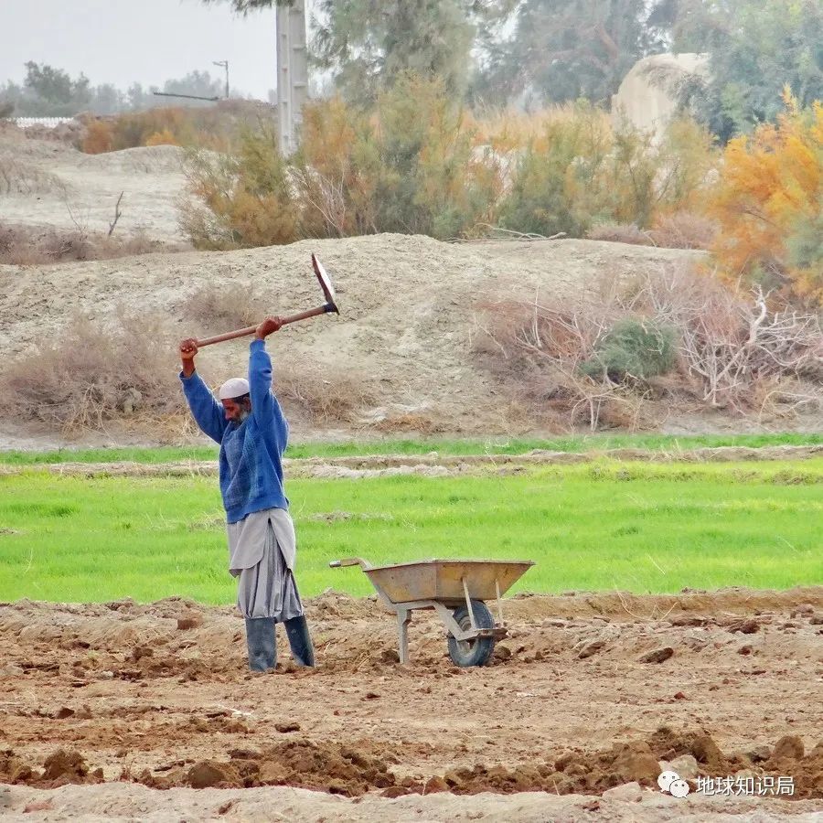 伊朗_时政|什么是伊朗“经济圣战”？
