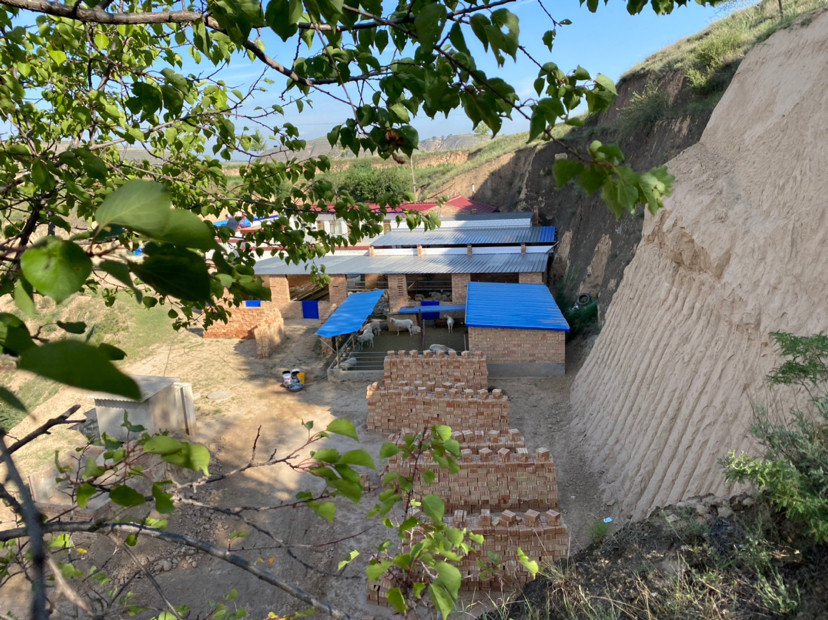 羊圈|羊圈不能带给你利润，可能导致养羊失败，你是否也犯了同样的错误