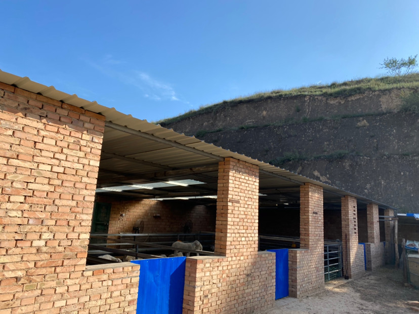 羊圈|羊圈不能带给你利润，可能导致养羊失败，你是否也犯了同样的错误