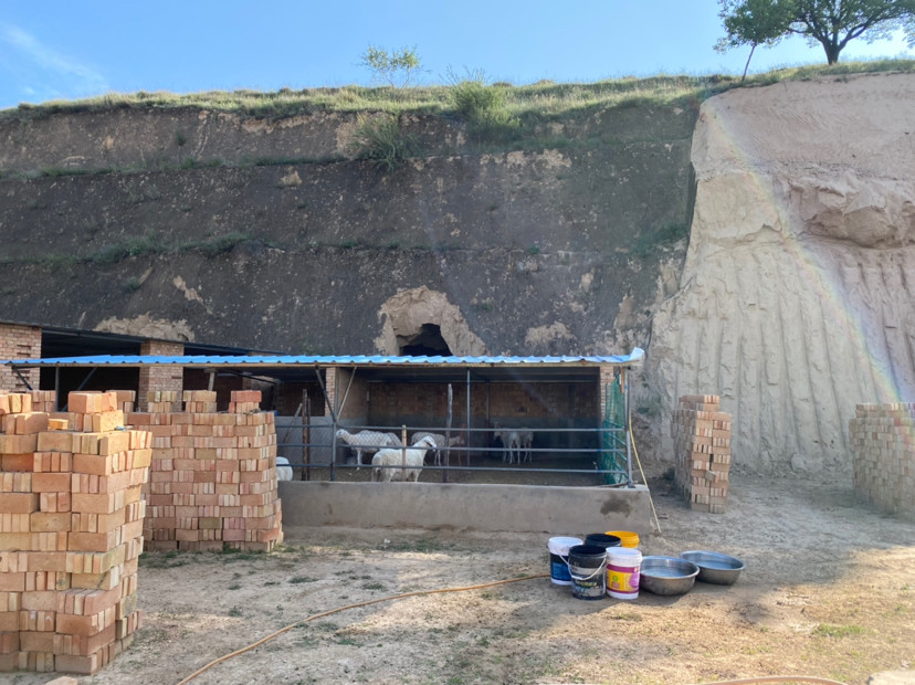 羊圈|羊圈不能带给你利润，可能导致养羊失败，你是否也犯了同样的错误