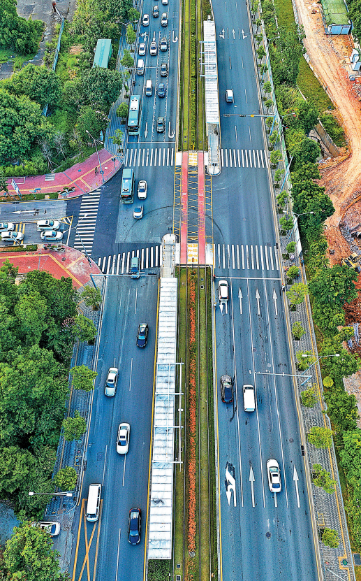 更方便啦龙华大道又有新变化