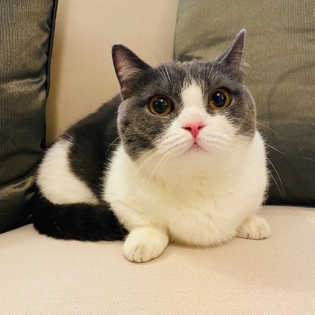 都市|都市青年肖战：一个人的独居生活方式是怎样的，了解后让人感慨