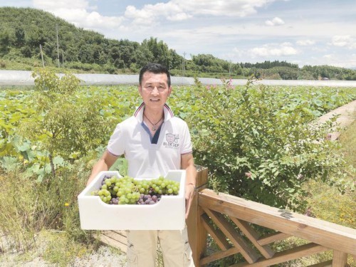 回归田园做快乐的农场主