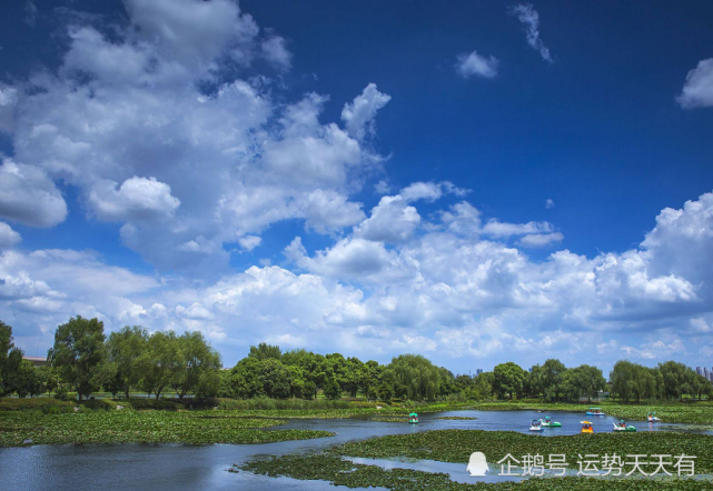 轮流风水转的动物_风水轮流转有道理吗_风水轮流转