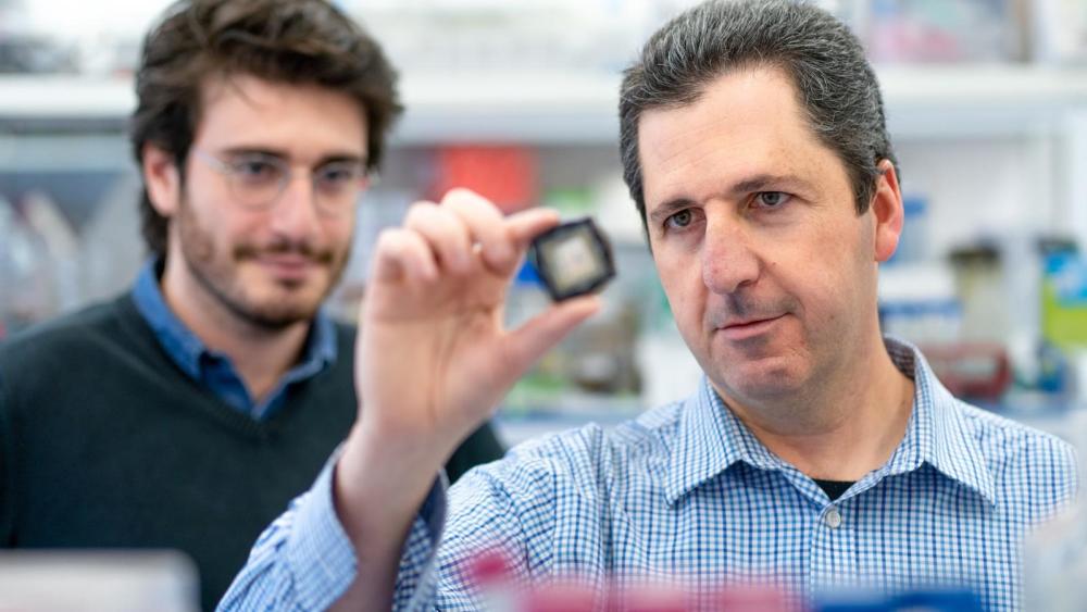 新冠肺炎|将新冠肺炎变为一场“普通感冒” 这款常规药物能成为抗疫关键吗？