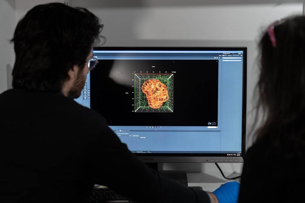 新冠肺炎|将新冠肺炎变为一场“普通感冒” 这款常规药物能成为抗疫关键吗？