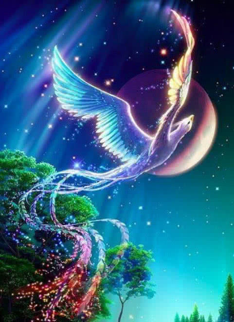 塔罗占卜第一眼选出你认为最美的那只凤凰测你未来嫁给什么人