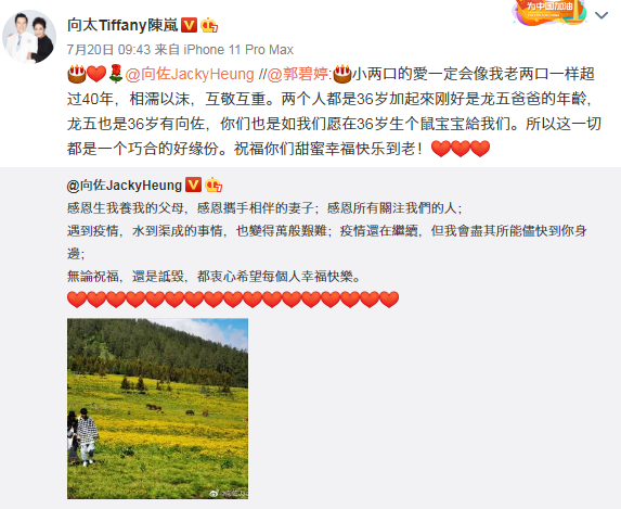 郭碧婷|网友晒三月偶遇向佐郭碧婷旧照，郭碧婷长风衣遮孕肚孕初期状态佳