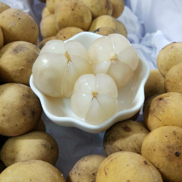 名字带龙的几种水果我赌你只吃过两种