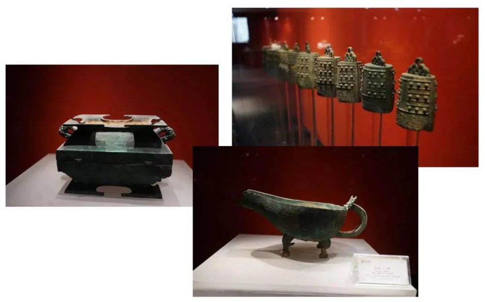 陕西省博物馆|“神兽”暑假去哪玩？家门口的“困兽园”别错过！