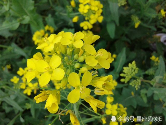 7月29日星座运势 金牛齐心协力 天秤独善其身 水瓶拼搏向前 腾讯网