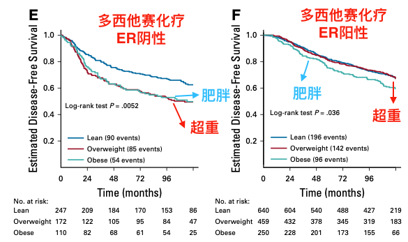 肥胖|知否？体重增与减，都是抗癌起效的“坎”