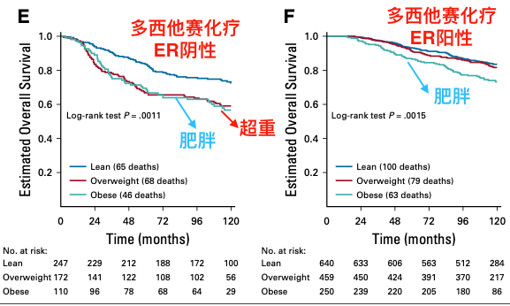 肥胖|知否？体重增与减，都是抗癌起效的“坎”
