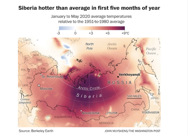 科学发现北极无冰或将成为现实北极熊可能提前灭绝咋办