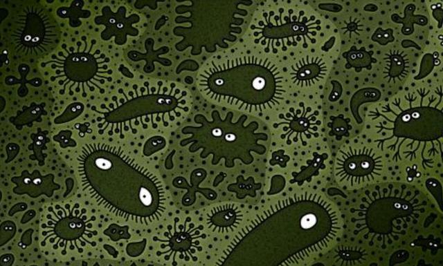 北极熊|科学发现，北极无冰或将成为现实，北极熊可能提前灭绝，咋办？