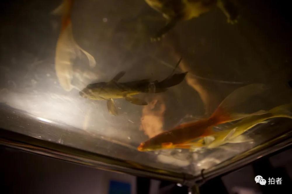 疫情|疫情之下的影棚老板：咬牙自救，迎接复苏