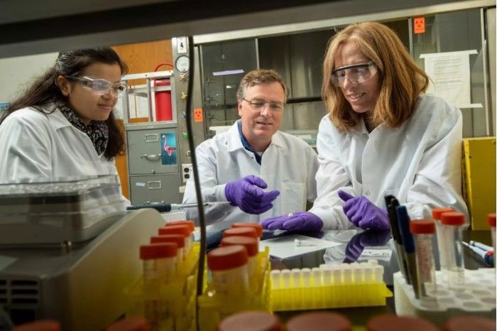 牙釉质|科学家利用牙釉质蛋白确定古代人类残骸性别