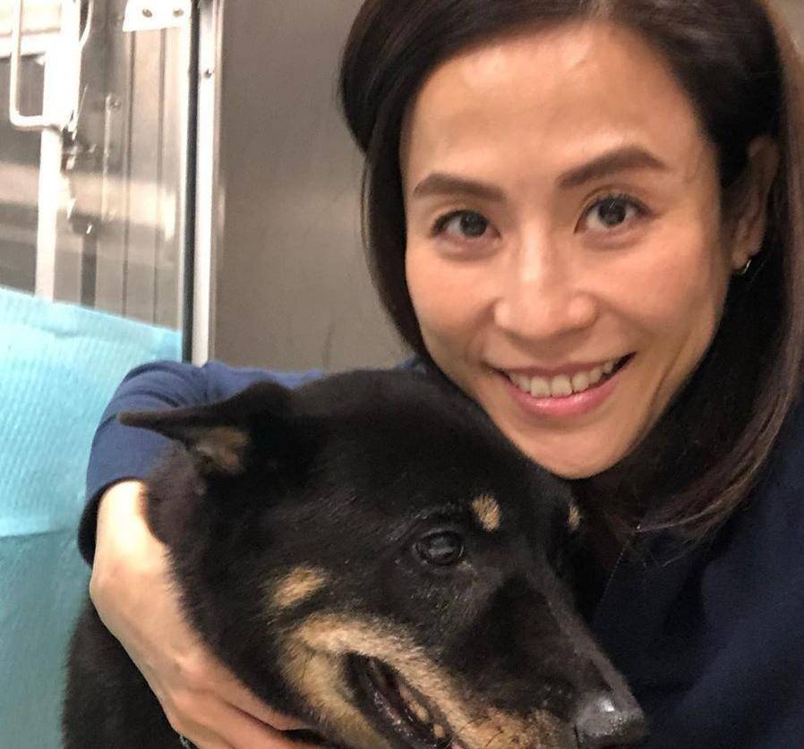 宣萱|50岁的宣萱颜值崩塌，脸色蜡黄肿得像馒头，拖累“四大花旦”颜值