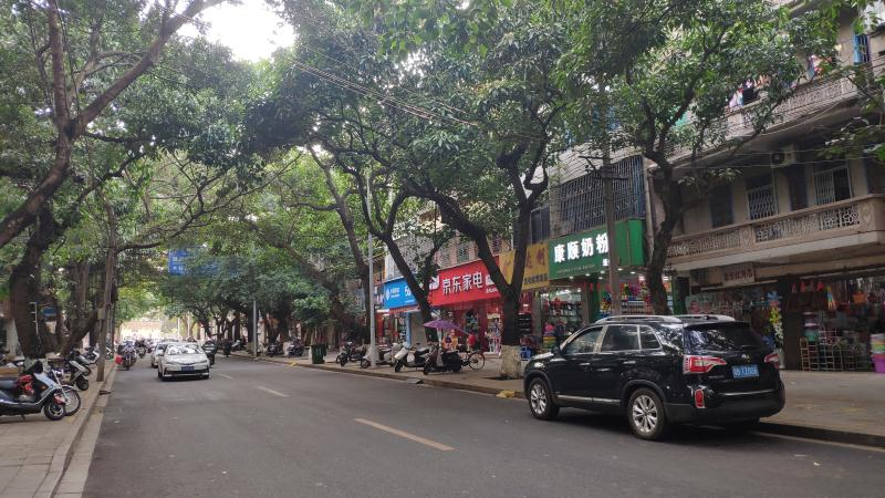 老街|即将消失？徐闻这条巷子里如今还生活着这样的人……