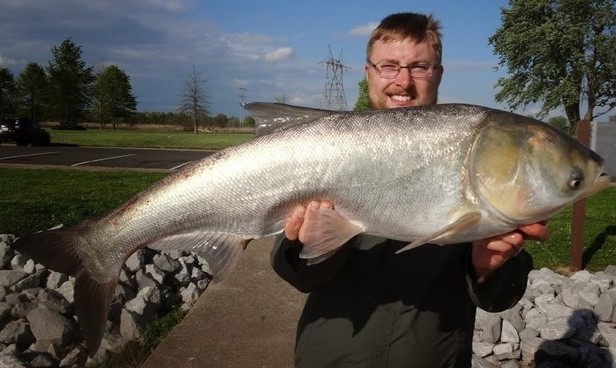 美国鳙鱼入侵我国可重达上百斤网友不可能让它活到30斤