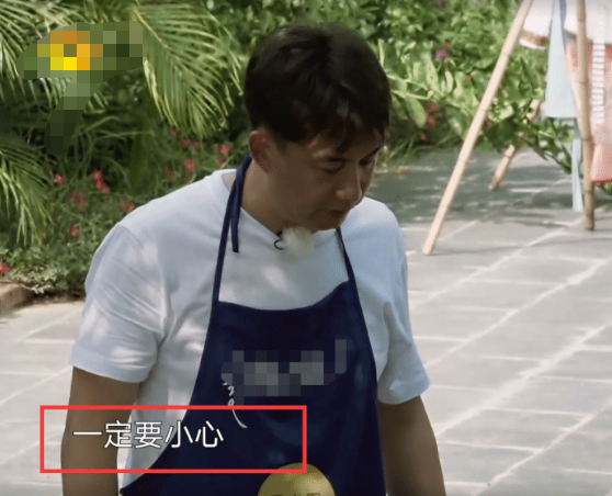 向往的生活|女星参加《向往的生活》，黄磊都不敢让她干活，只因手太娇贵