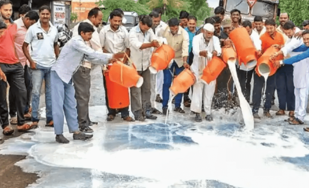 马哈拉施特拉邦|印度农民发起“浪费牛奶”运动要求涨价，运奶车直接沿公路喷洒